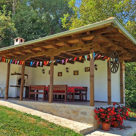 Старият Дюкянь Villa Elena Bagian luar foto
