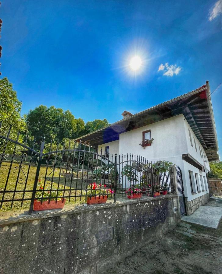 Старият Дюкянь Villa Elena Bagian luar foto
