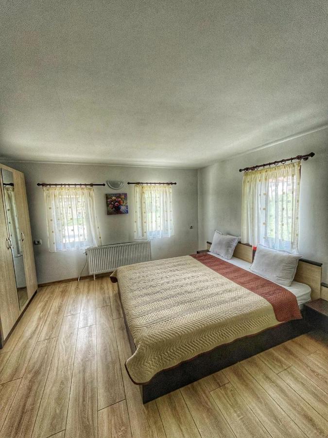Старият Дюкянь Villa Elena Bagian luar foto